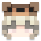 CastorPollex 的头像